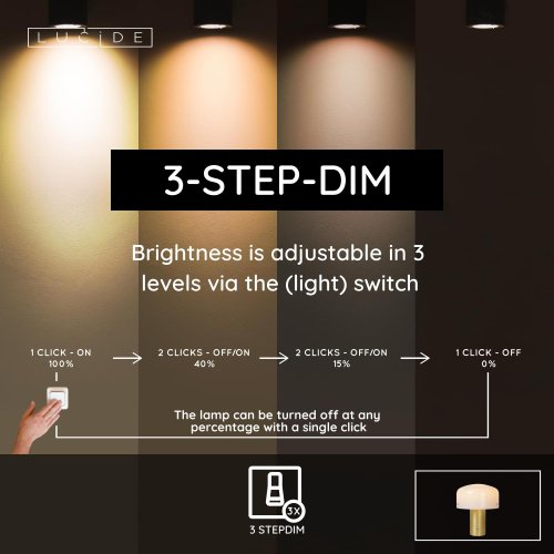 TIMON Table lamp  E27/25W 35cm Matt Gold/Opal - obrázek