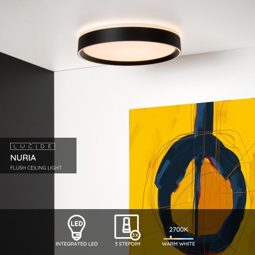 NURIA Ceiling Light - obrázek