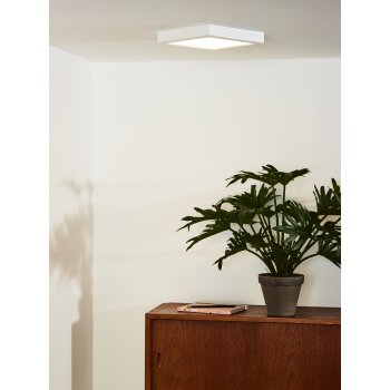 TENDO-LED Plafondlicht Vierkant 22/22cm - obrázek