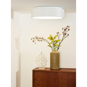 TALOWE LED Ceiling Light D45cm 32W 3000K - obrázek