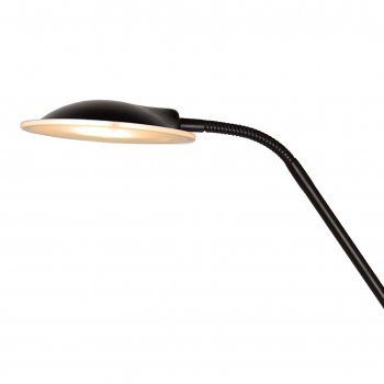 CHAMPION-LED  Floor Lamp 20W+4W H180cm 1 - obrázek