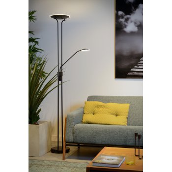 CHAMPION-LED  Floor Lamp 20W+4W H180cm 1 - obrázek