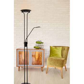 CHAMPION-LED  Floor Lamp 20W+4W H180cm 1 - obrázek