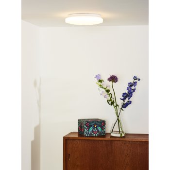 OTIS Ceiling Light LED 14W Ă26cm 910LM - obrázek