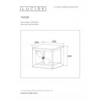 THOR Ceiling Light E27 L25 W25 H20cm Iron Grey - obrázek