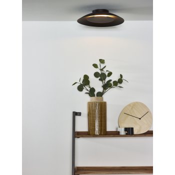 FOSKAL Ceiling Light LED 12W Ă34.5cm Black - obrázek