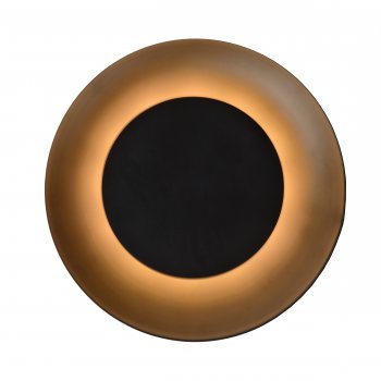 FOSKAL Ceiling Light LED 6W Ă21.5cm Black - obrázek