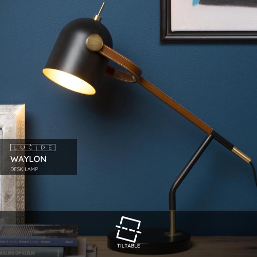 WAYLON Desk Lamp E27/40W H50 Black - obrázek