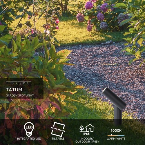 TATUM Garden spotlight ground spike LED 4.5W Anthr - obrázek