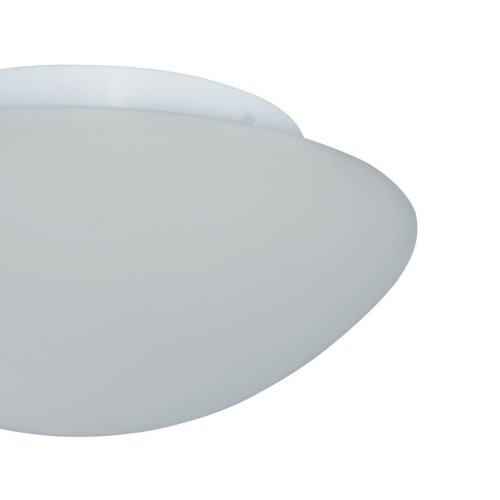 1910-28 Flush - obrázek