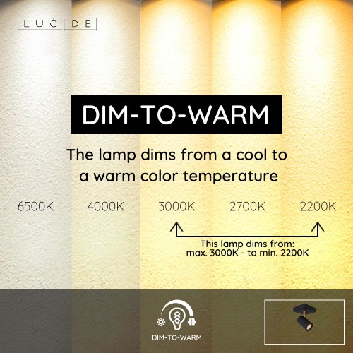 GRONY Wall Spotlight Gu10/5W  Black/Gold - obrázek